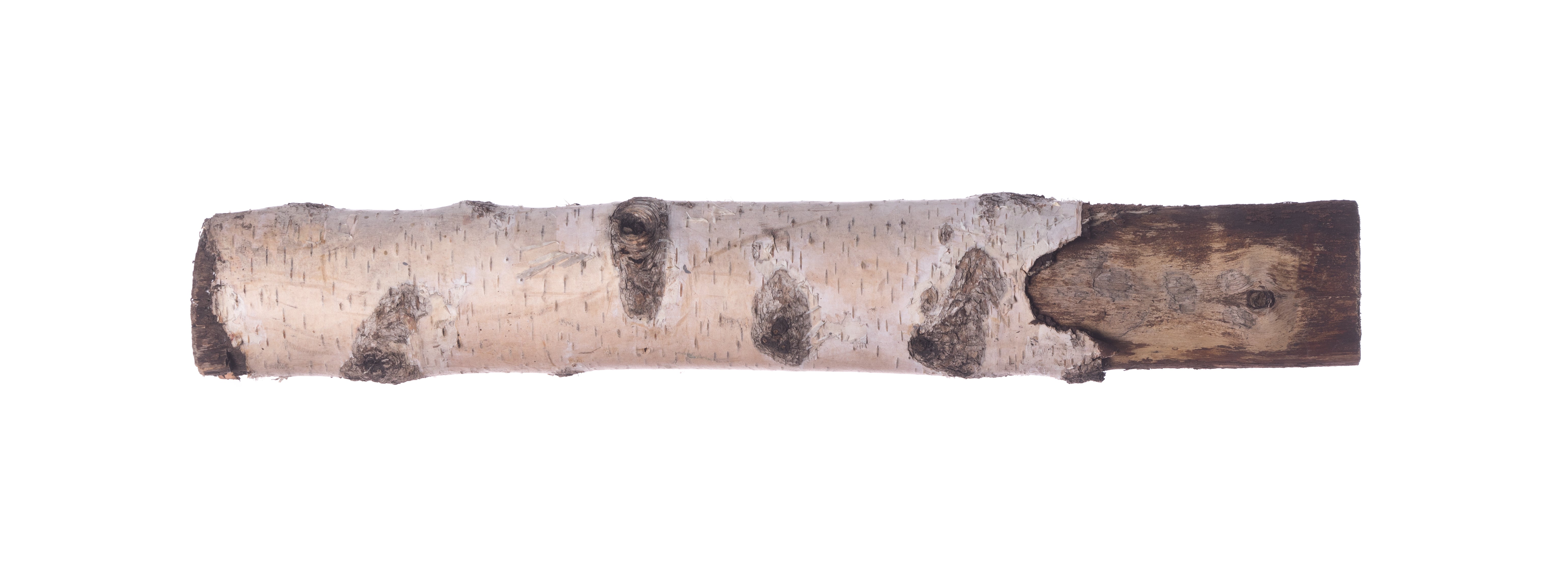 Bûches de bouleau bois de chauffage en vrac