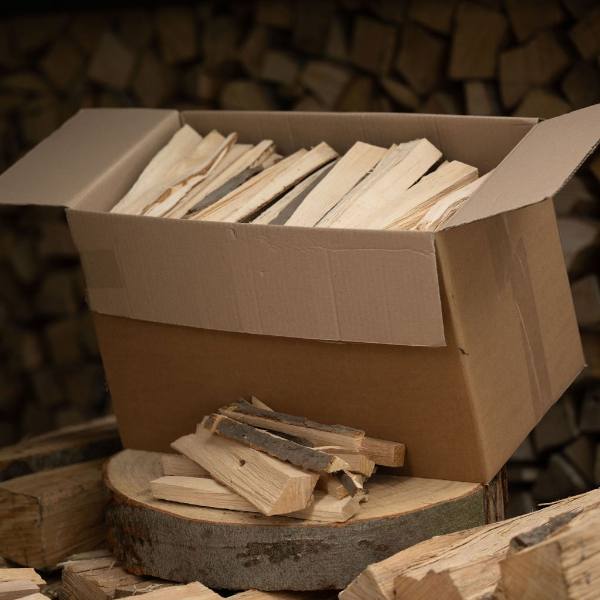Bois d'allumage hêtre 25 cm en carton