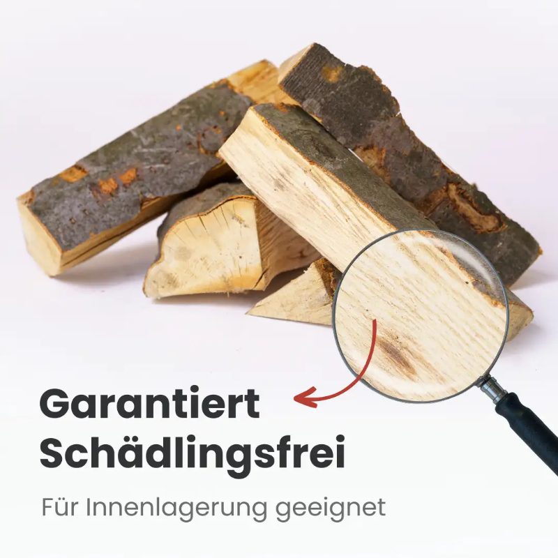 Bois de chauffage hêtre séché en chambre | 2 stères