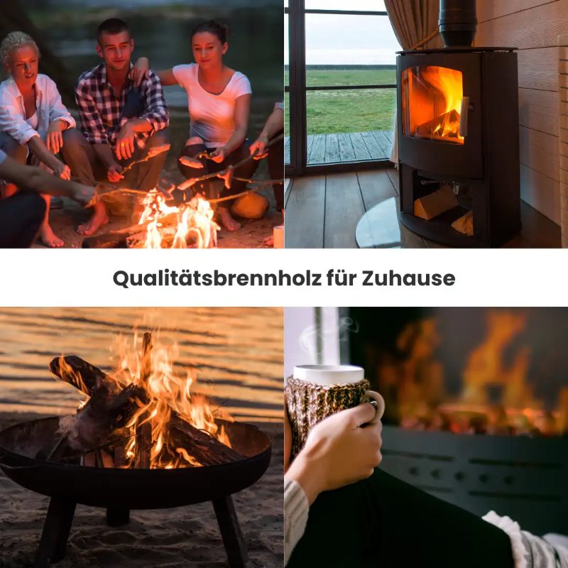 Bois de chauffage hêtre séché en chambre | 2 stères