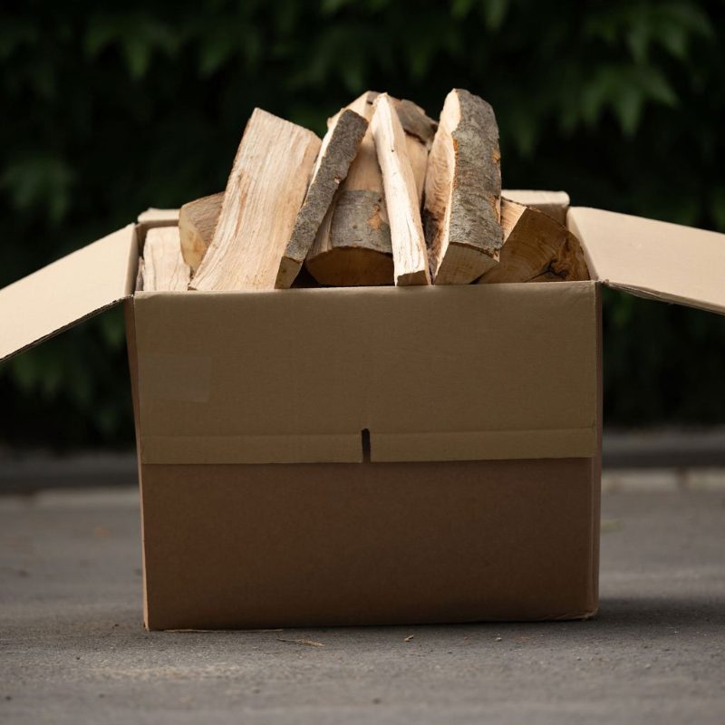Hêtre séché en chambre 30cm en carton