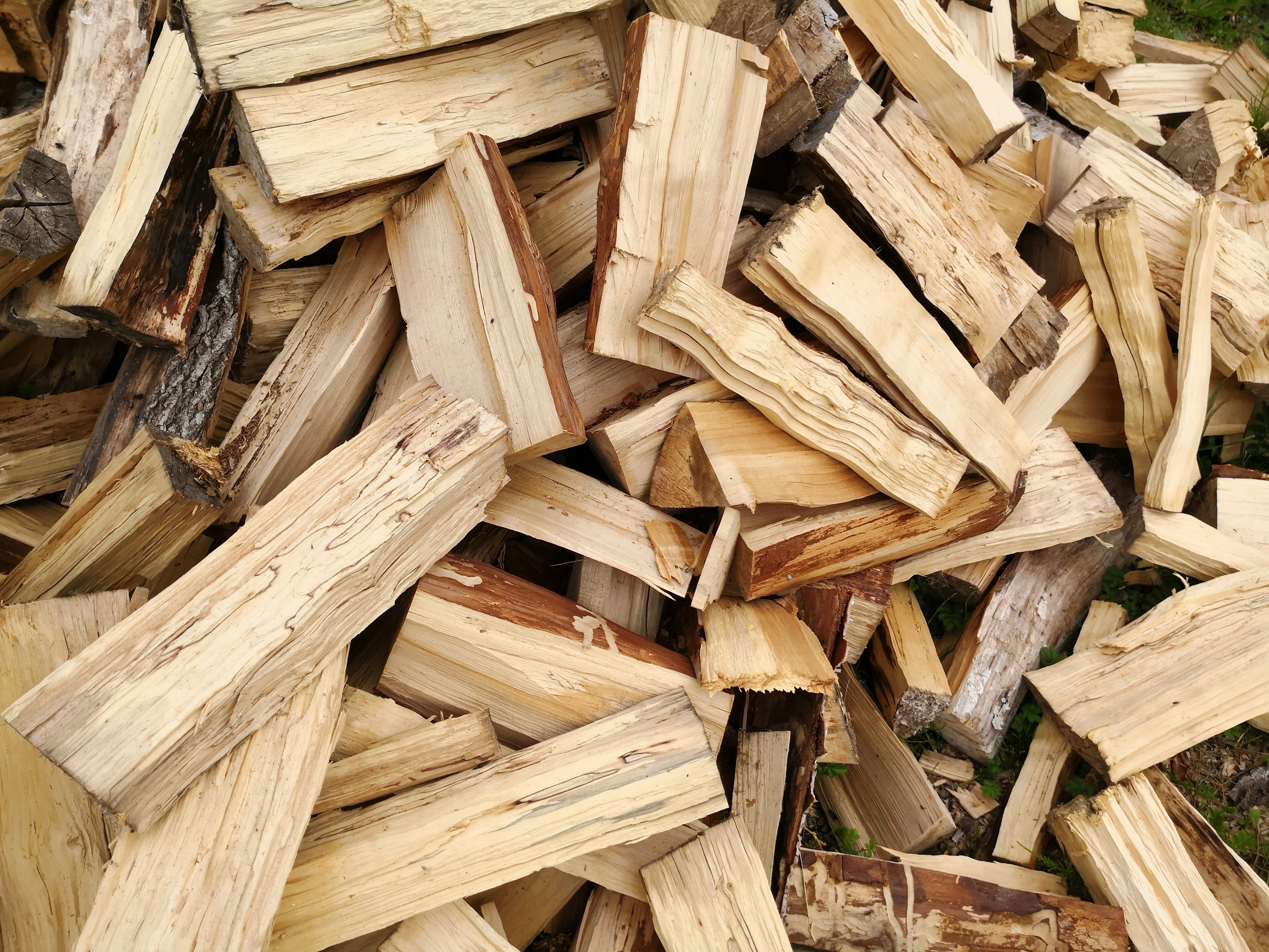 Buches de bois de chauffage fraichement coupees