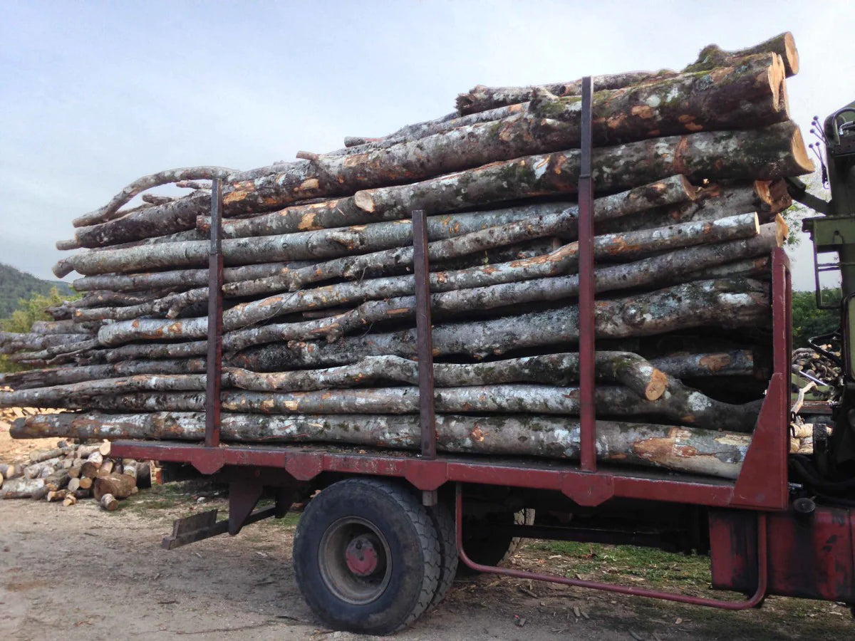 Grume en camion - 30 stères