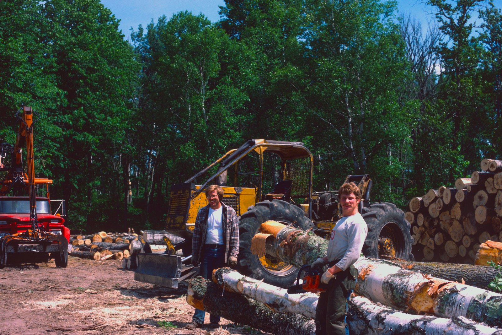 Equipe de bucherons dans la foret avec des grumes de bois