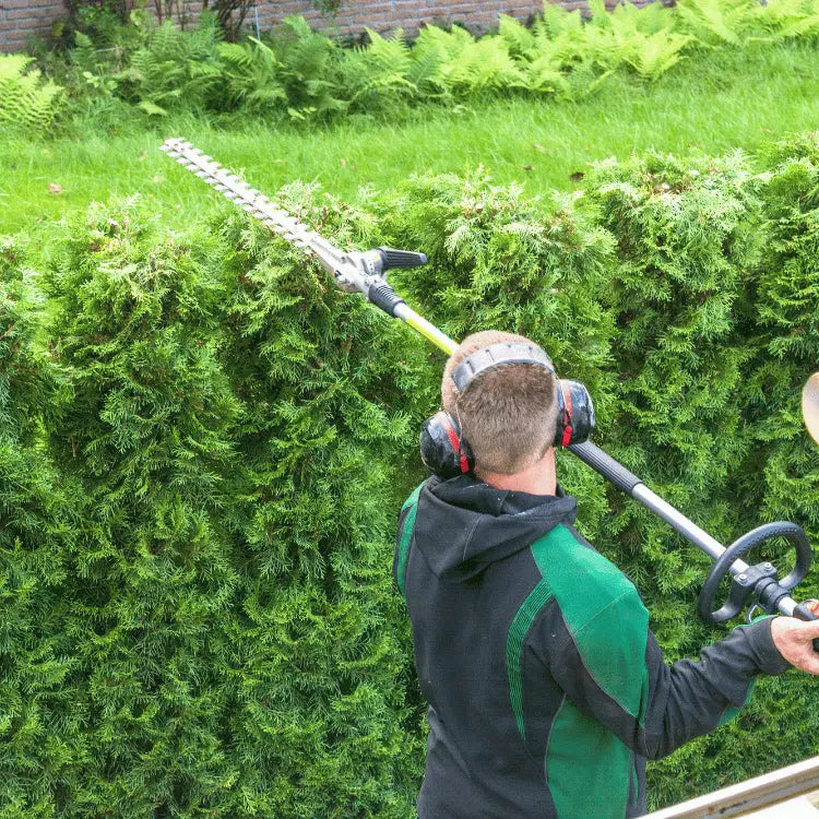 Élagage & entretien de jardin
